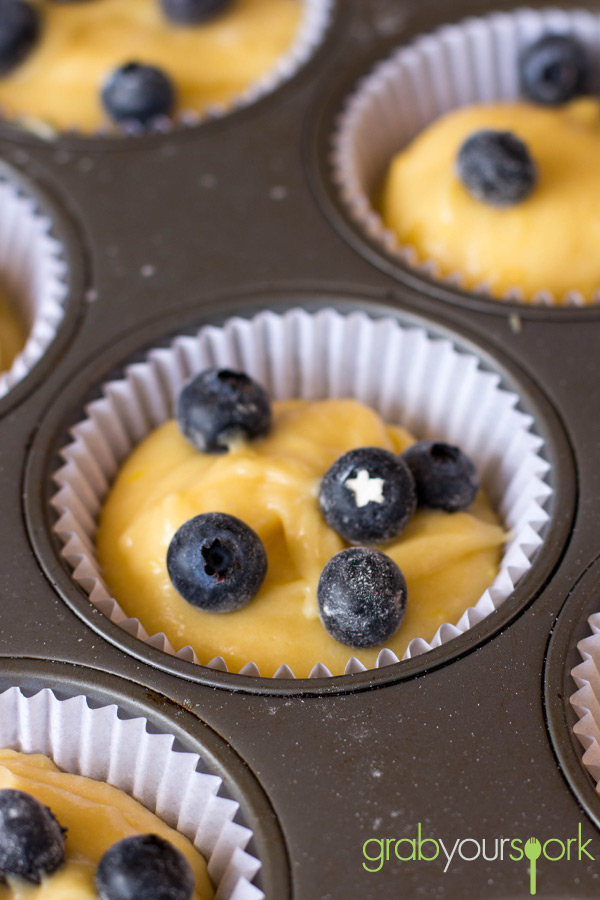 Blueberry and Lemon Cupcakes Mixture