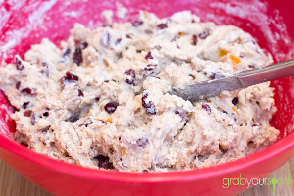 Cranberry and Apricot Hot Cross Buns Dough