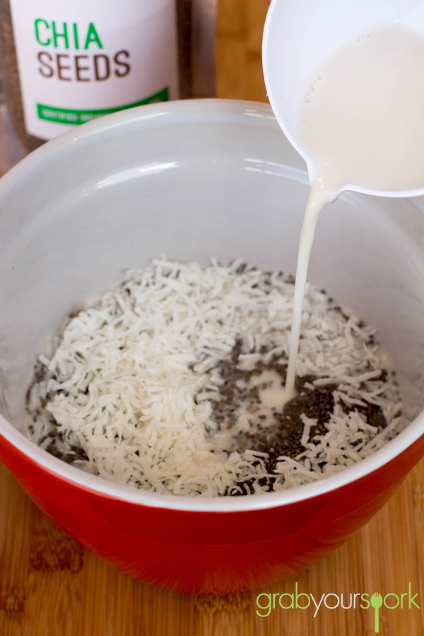 Coconut and Vanilla Chia Pudding Ingredients