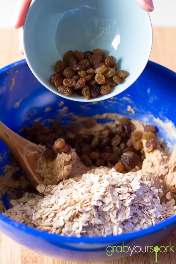 Oatmeal and Raisin Cookie Ingredients